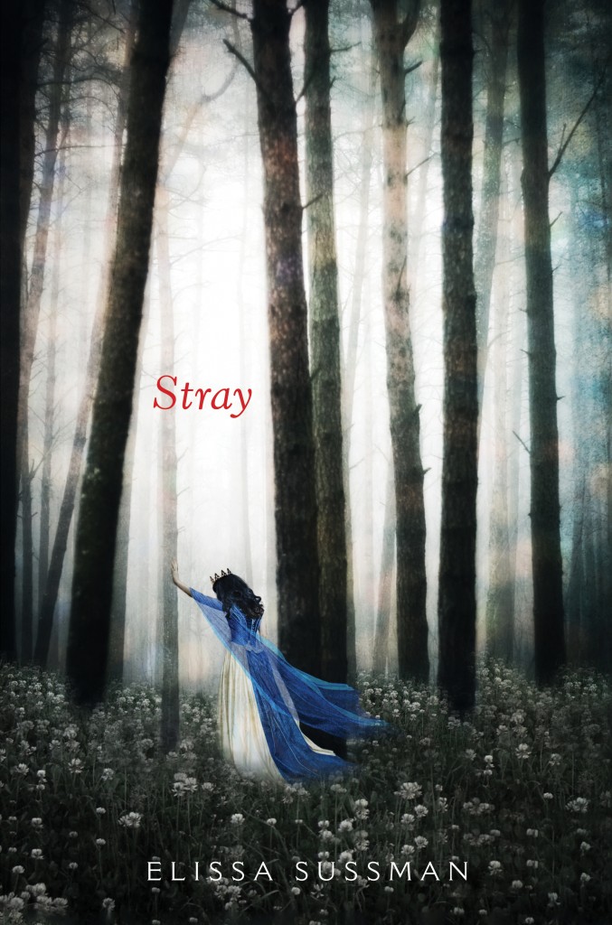 Stray HC C