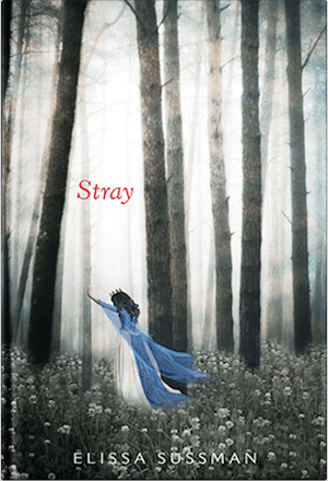 STRAY by Elissa Sussman